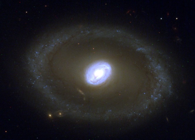 NGC3081